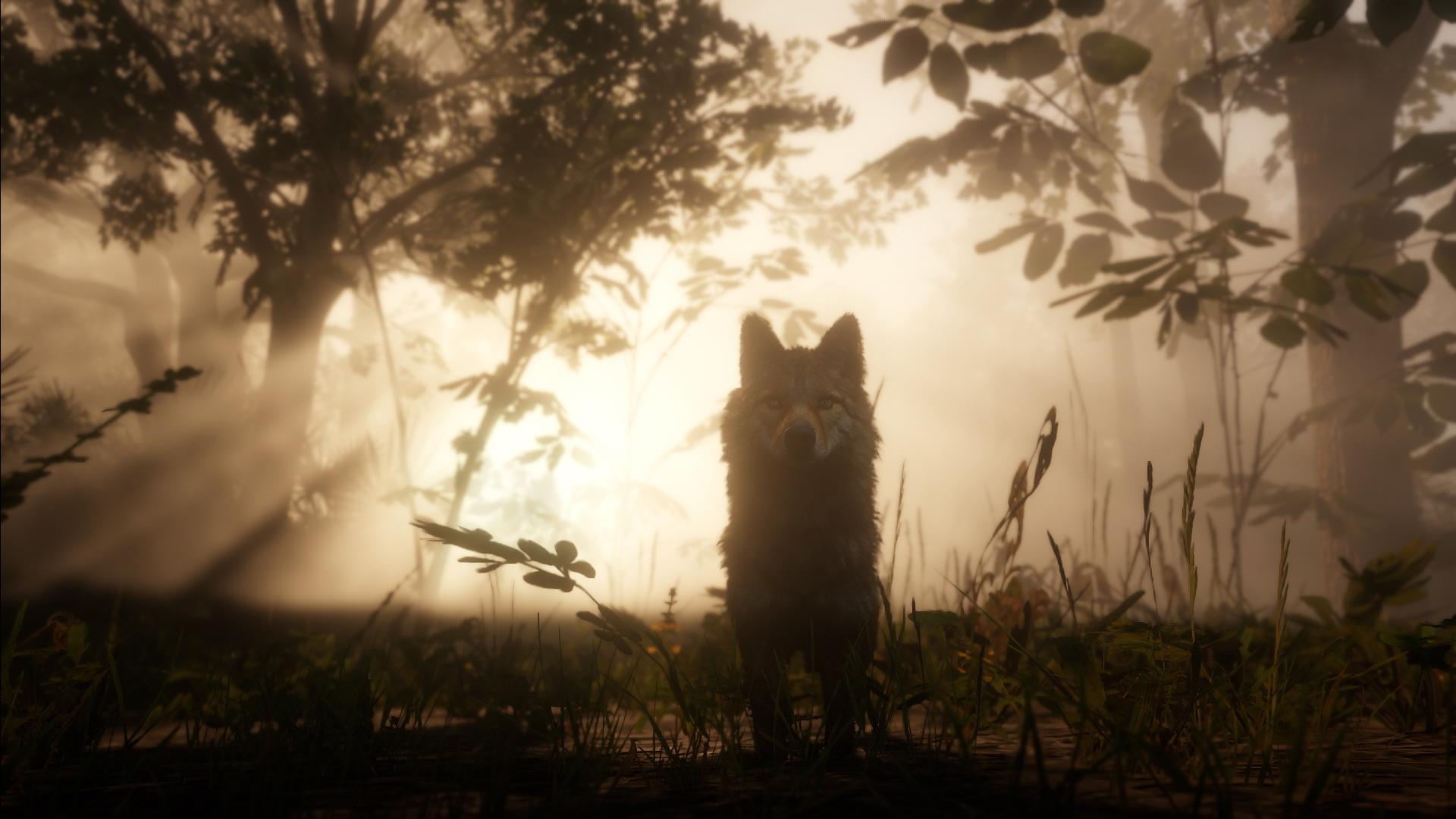 Red Dead Redemption 2 contará con 19 razas de caballos distintas Red Dead Redemption 2 contará con 19 razas de caballos distintas