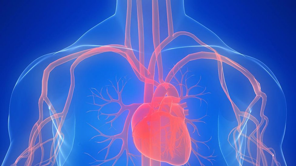 New Device Helps Protect Patients from Stroke During Heart Valve