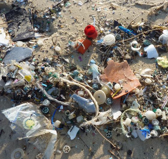 Productos plásticos en la arena de una playa - Ecología: El agua del grifo contiene más plástico del que crees