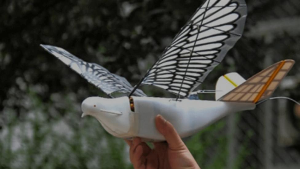 Dron China con forma de paloma - China lanza drones con forma de paloma para vigilar a los ciudadanos