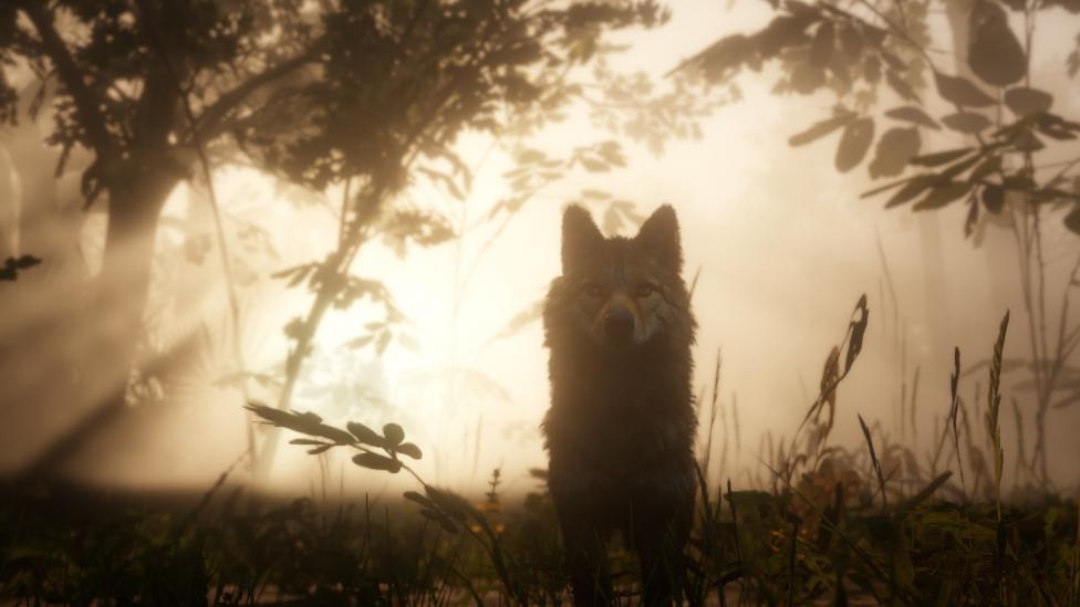 200 animales en Red Dead Redemption 2 - Red Dead Redemption 2 contará con cerca de 200 especies animales