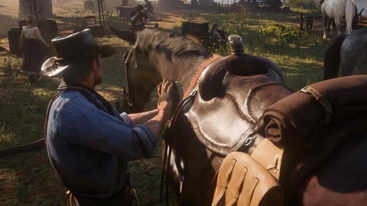 Cepillar tu caballo es muy importante para mantener el vínculo y su salud