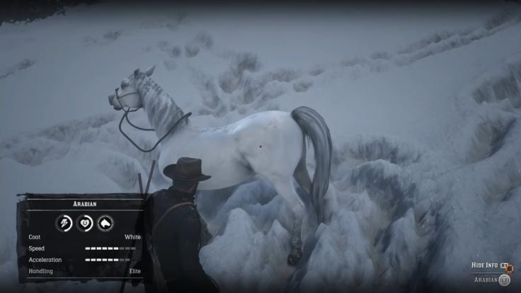 Arabic horse stats, the best horse in Red Dead Redemption 2